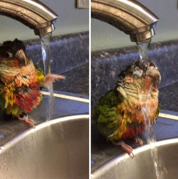 Always check the temperature first