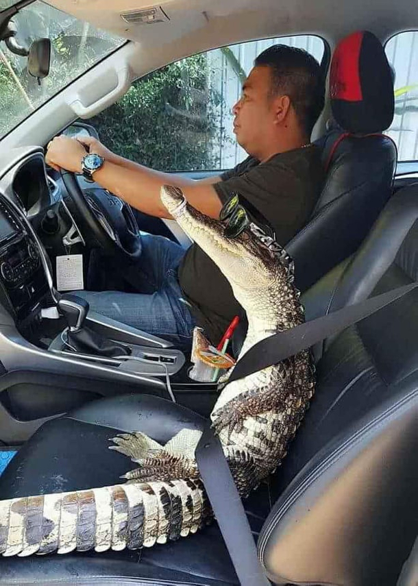 Always fasten your seatbelts everyone