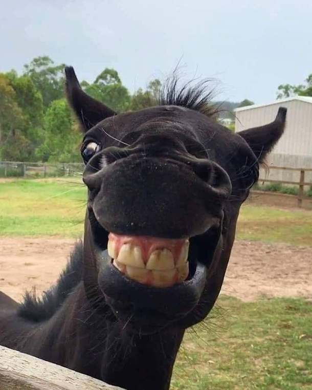 Always remember to smile