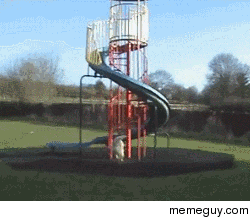 Always wanted to go down the slide