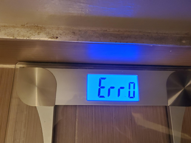 Am i fat