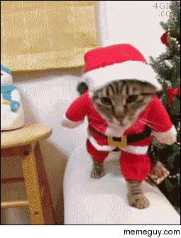 Am I too late for Christmas
