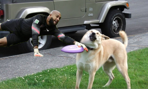 Am I too late to the Tim Howard saves