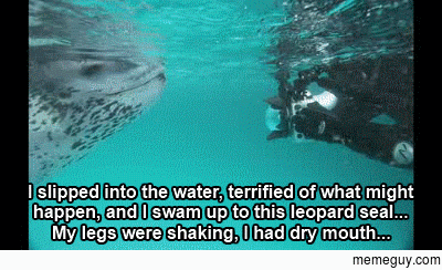 Amazing National Geographic photographers recollection from a shoot in the arctic