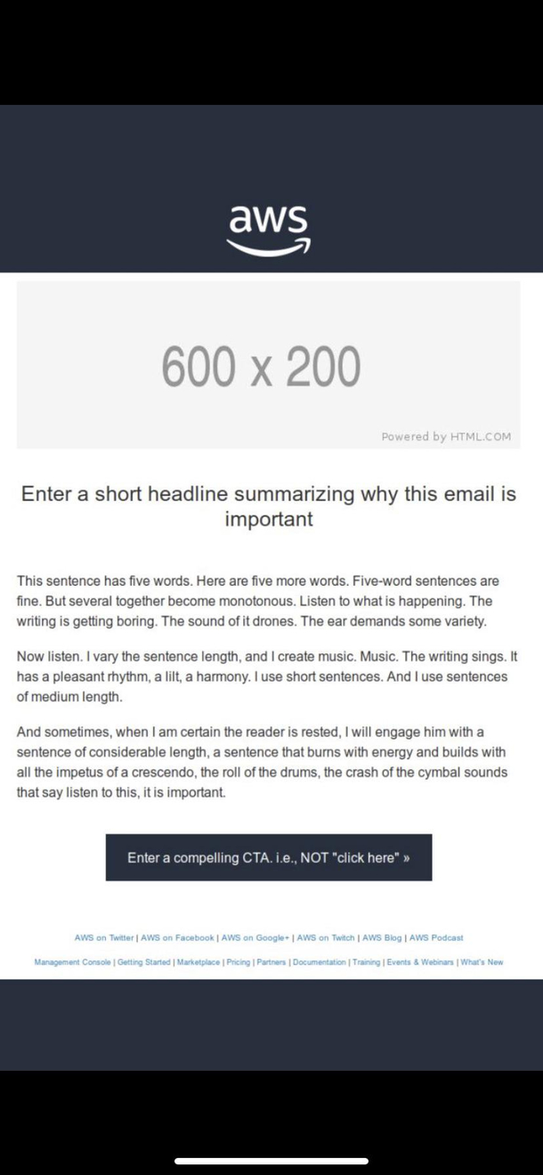 Amazon accidentally sent out their email template and its hilarious