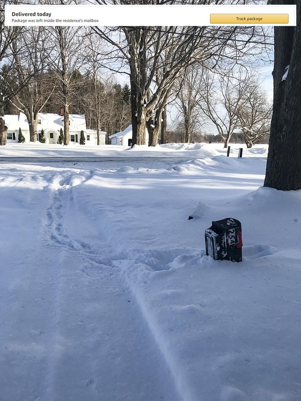 Amazon delivery person you da real MVP