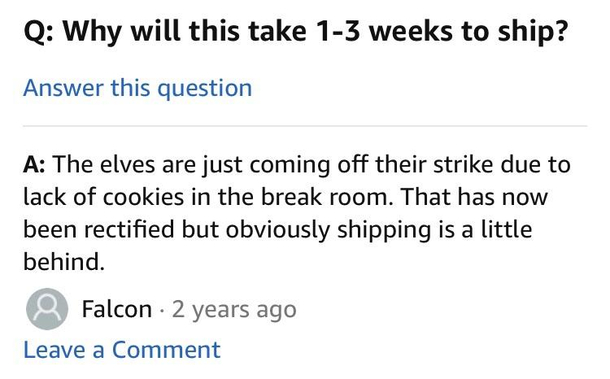 Amazon QampA made me laugh