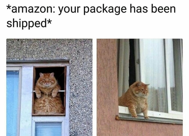 Amazon your package has been shipped