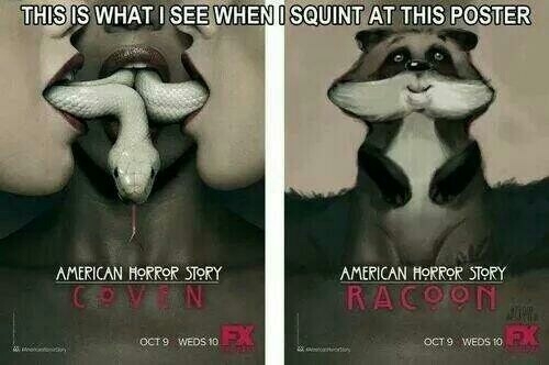 American Horror Story Raccoon