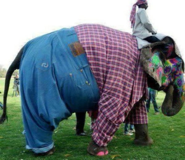 American tourist tries to blend in while in India