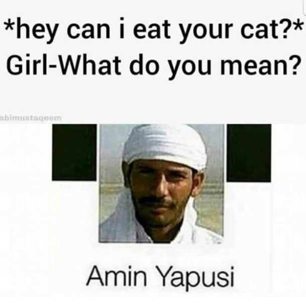 Amin Yapusi
