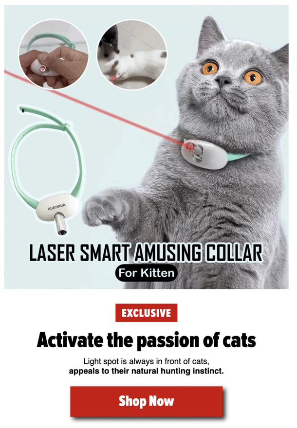 Amusing laser collar The things I find in my spam email