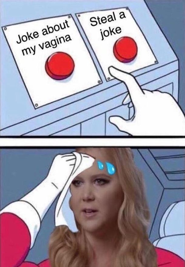 Amy Schumer Steals Jokes