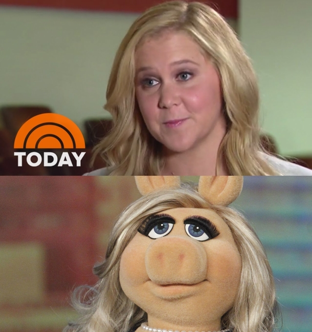 Amy Schumer stolen face evidence