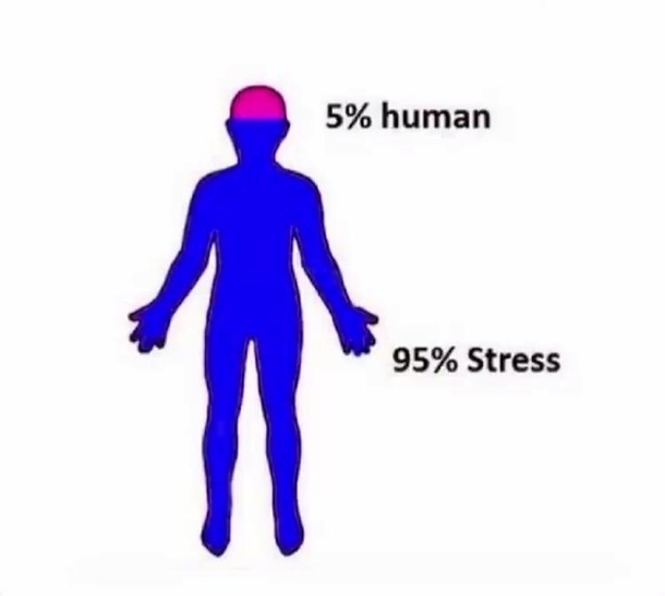 An accurate representation of myself