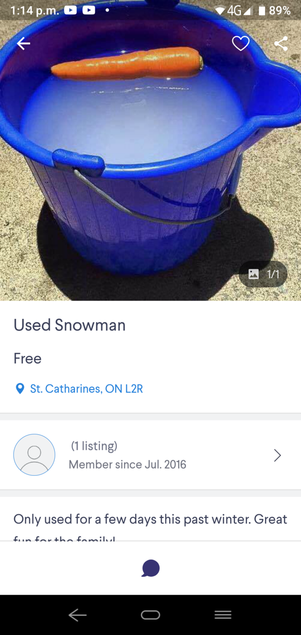 An actual ad i found near niagara fallscanada
