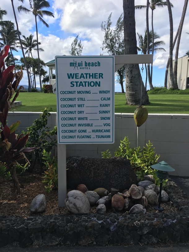 An alternate way of telling the weather Maui Hi