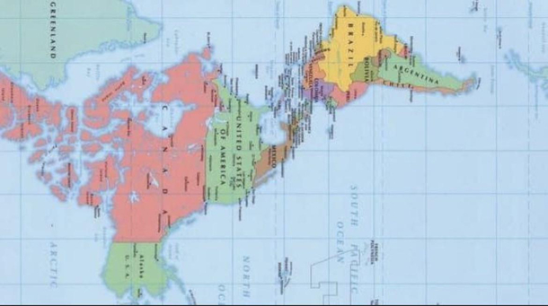 An American Duck