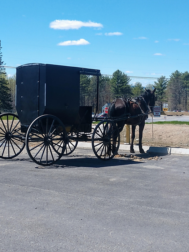 An Amish wagon parked in its own parking space sign and all