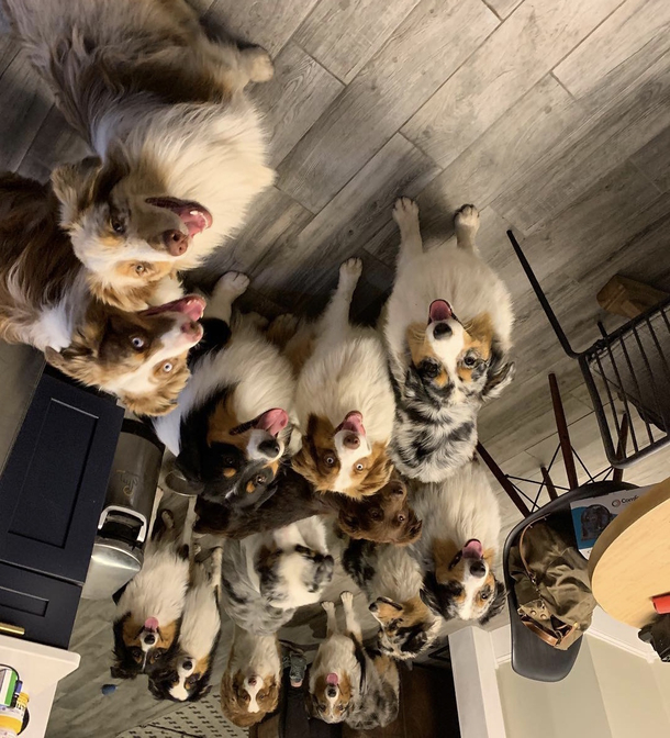 An Aussie party