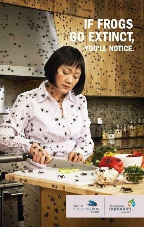 An Effective Ad - Save the Frogs