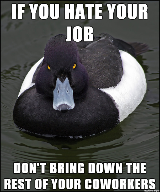 An employee was moved into my office a few weeks ago and I cant stand the complaining