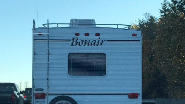 An erection but fancier