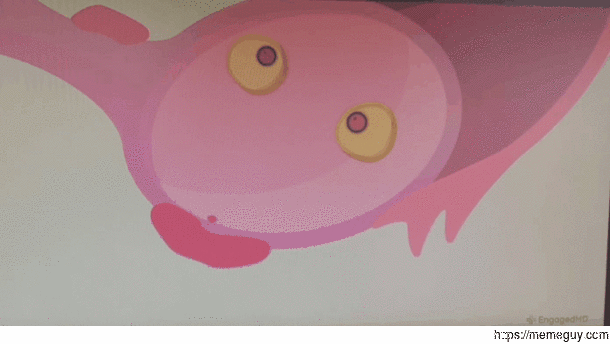 An extremely surprised ovary