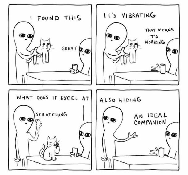 An ideal companion