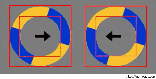 An illustration of the illusion that uses the thin inner and outer rings of the object to make it appear as if its moving