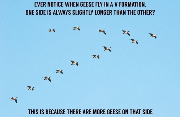 An interesting fact