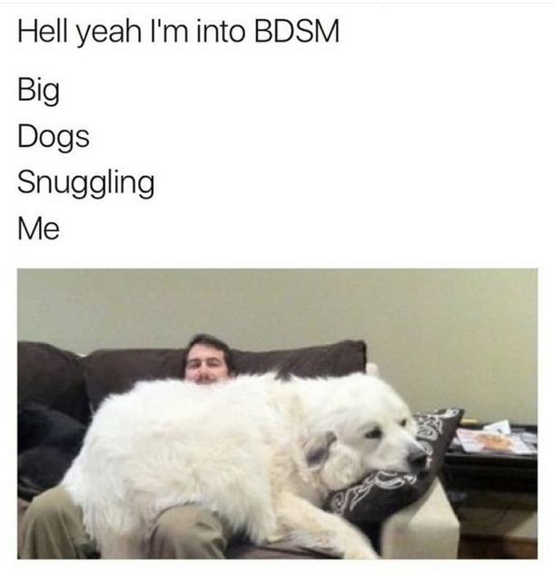 An interesting title