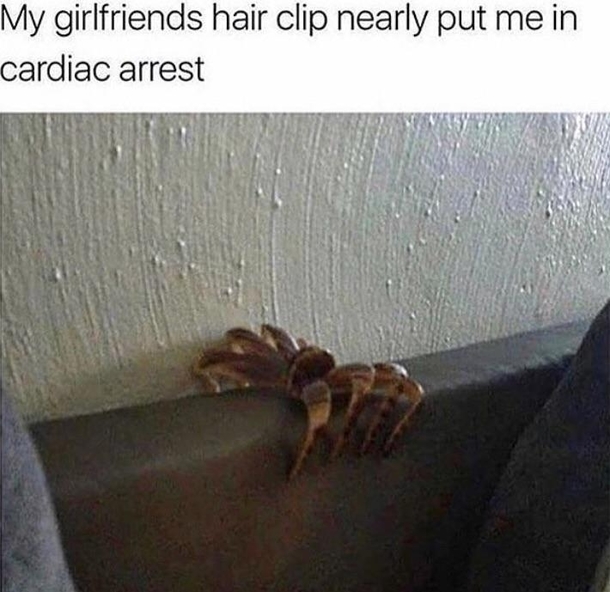 An interesting title