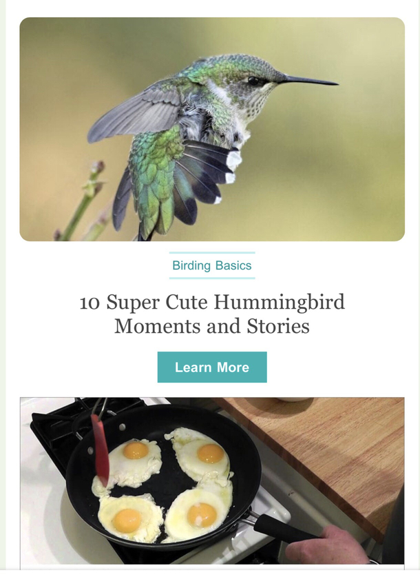 An unfortunate ad placement