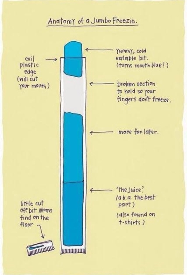 Anatomy of a jumbo freezie