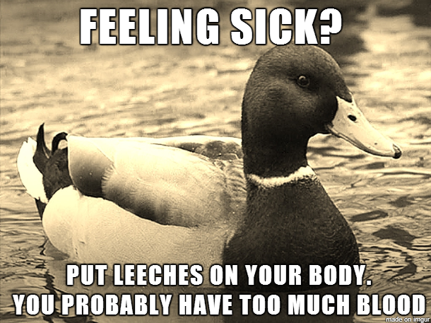 Ancient Advice Mallard