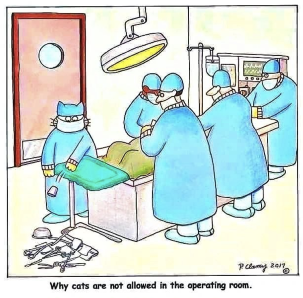 And Cuz they bring their own scissors