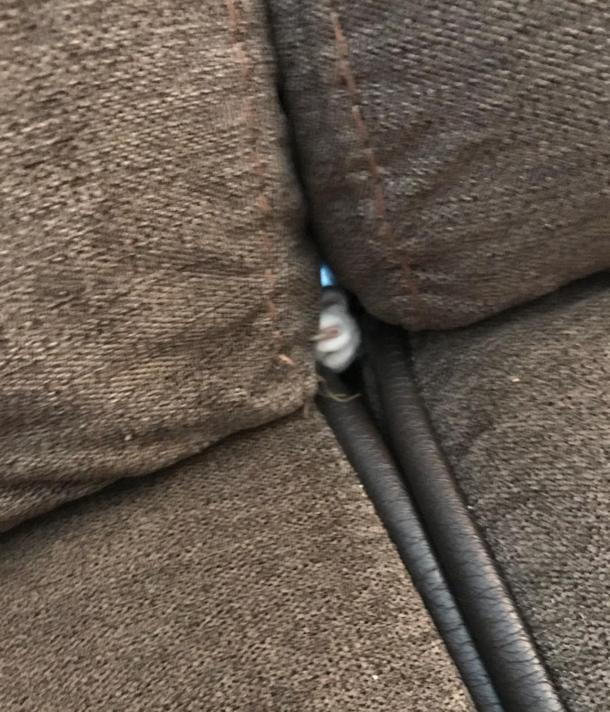 And here I am wondering what keeps poking me on the couch