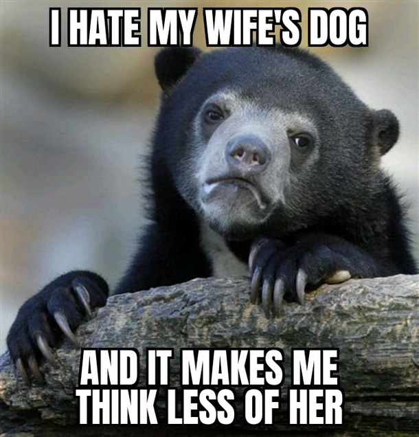 And I Feel Guilty About It