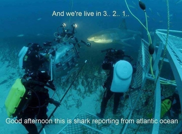 And now we cross to shark live Shark where are you today