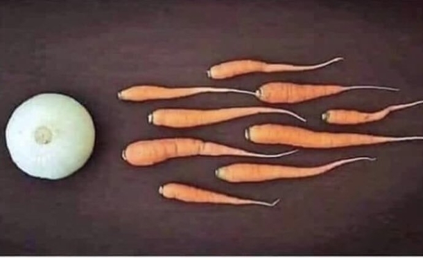 And that ladies and gentlemen is how vegans are made