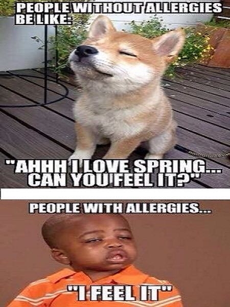 And the allergy season is upon us