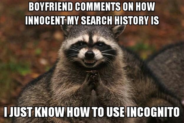 And The Incognito Tab Gets Weird Meme Guy