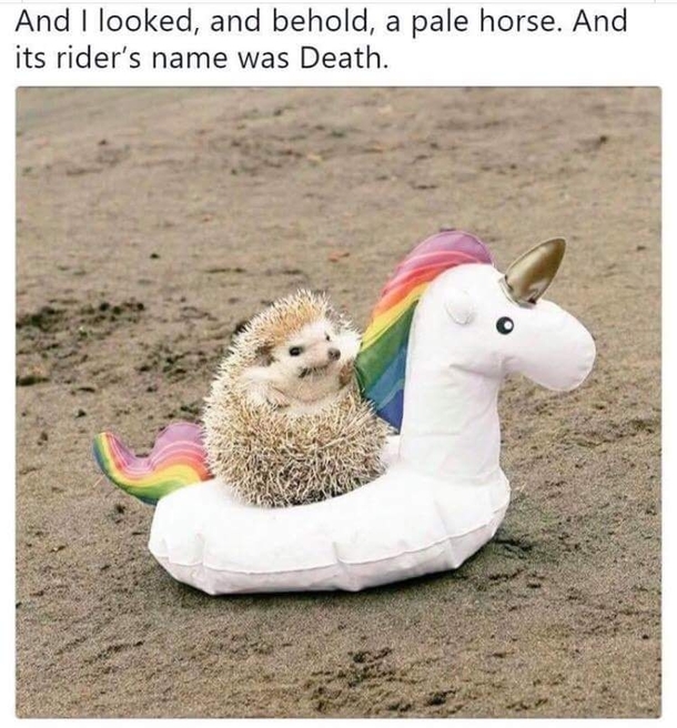 and the riders name was Death
