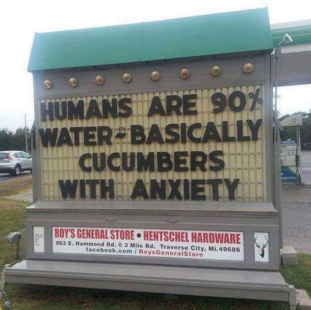And then we become pickles