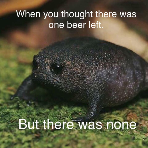 And there was disapointment