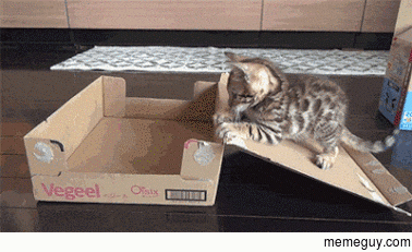 and this is how you put yourself in a box 