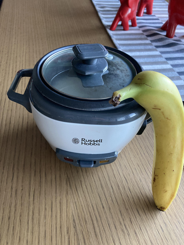 And this is why you check the size of the rice cooker before hitting the Amazon buy button banana for scale