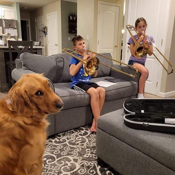 And you complain about my barking