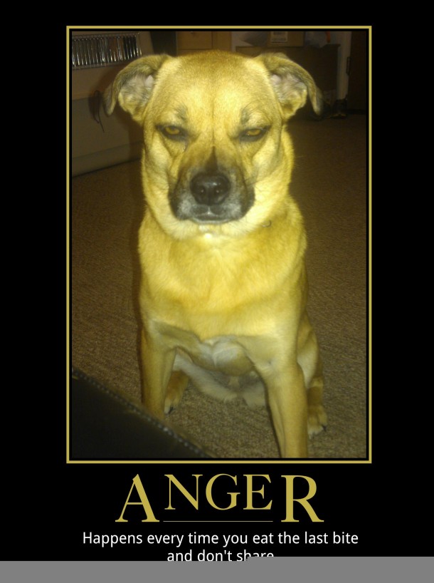 Anger 